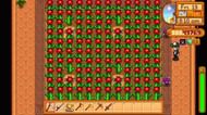 Cactus fruit in Stardew Valley (Image via u/Leviathan10 on Reddit)